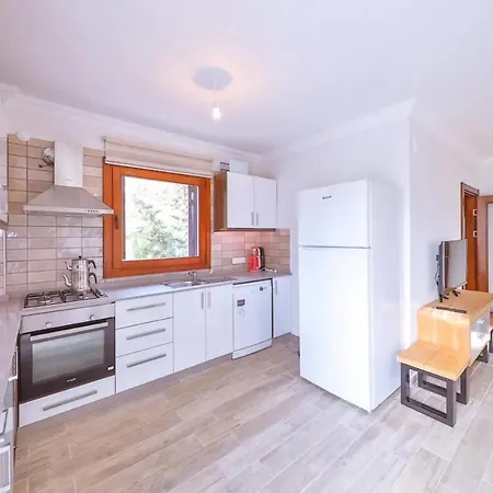 Daire çukurbağ köyünde 4 tane villa